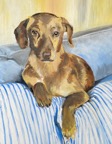 hond 04 final.png