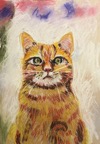 Pawtraits_by_Marianne0005.jpg