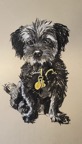 Pawtraits_by_Marianne0003.jpg