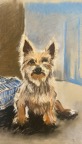 Pawtraits_by_Marianne0002.jpg