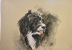 Pawtraits_by_Marianne0004.jpg